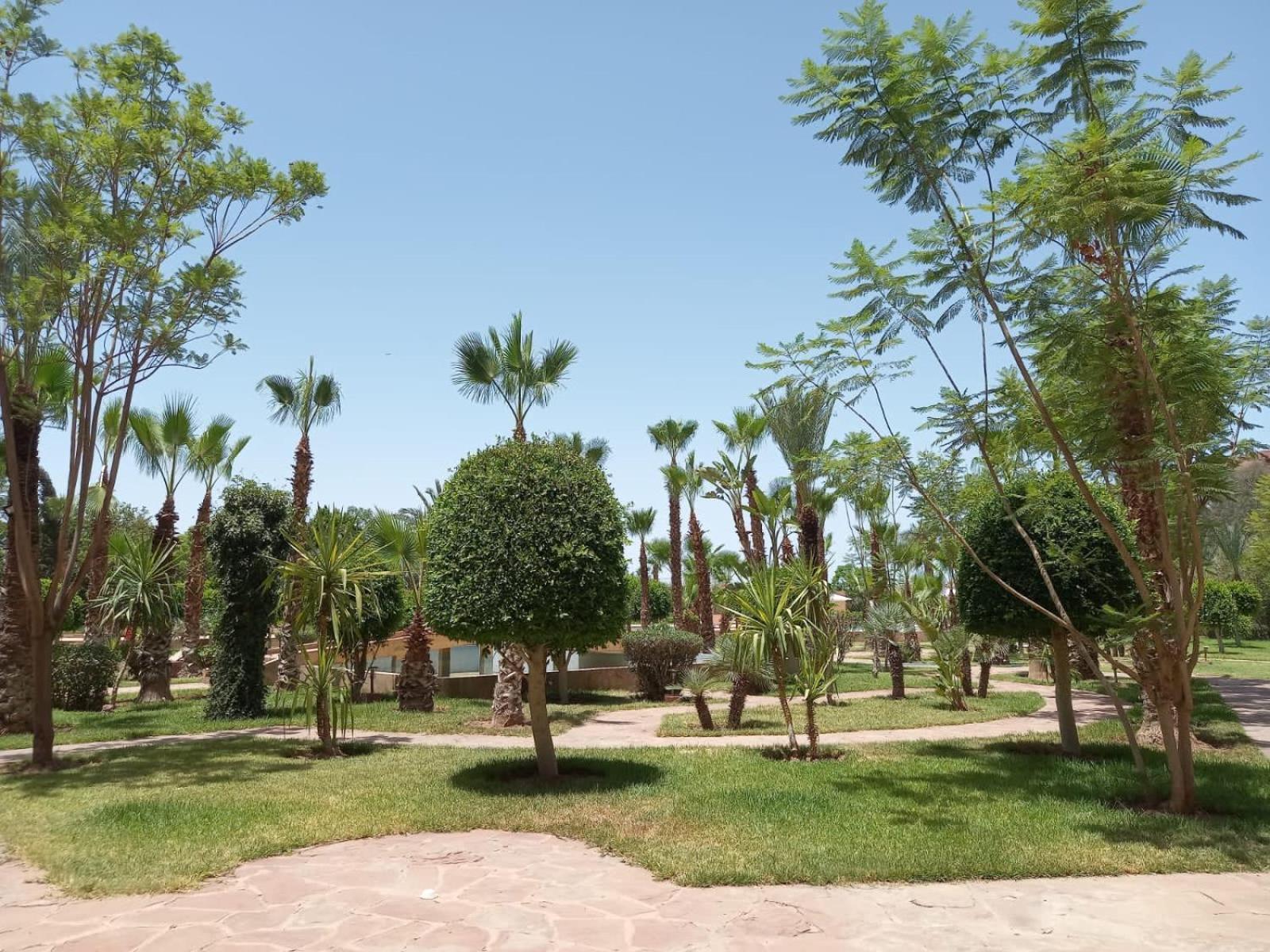 Appartement Marrakech M Avenue Terrasse Jardin